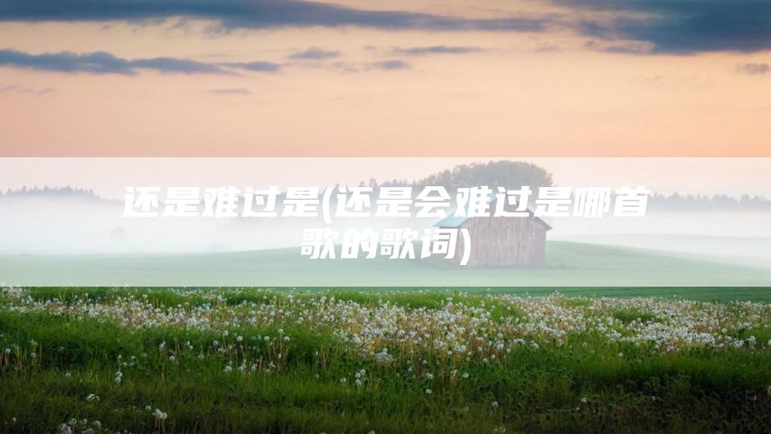 还是难过是(还是会难过是哪首歌的歌词)