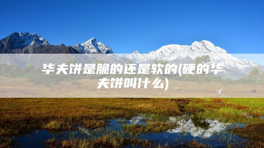 华夫饼是脆的还是软的(硬的华夫饼叫什么)