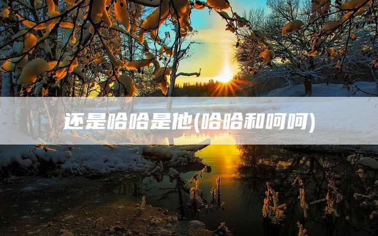 还是哈哈是他(哈哈和呵呵)