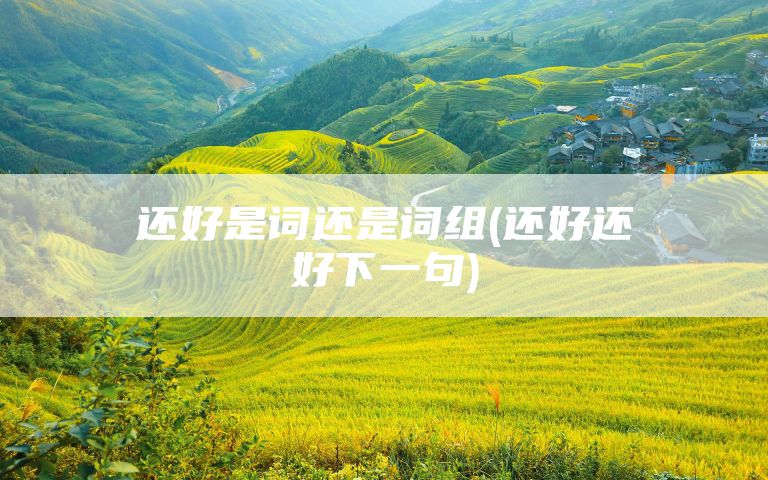 还好是词还是词组(还好还好下一句)