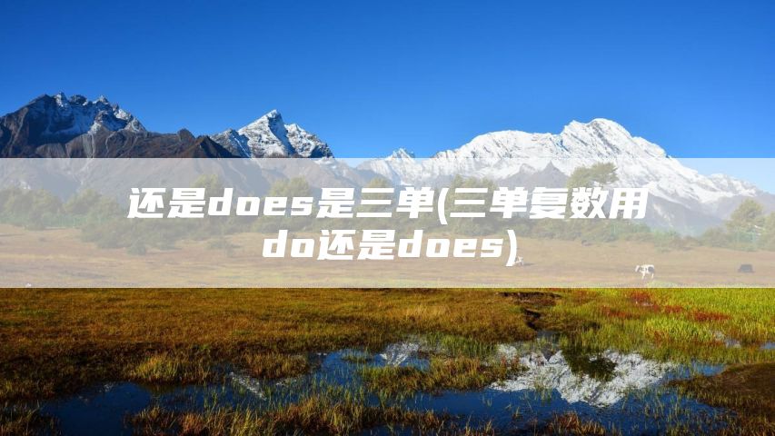 还是does是三单(三单复数用do还是does)