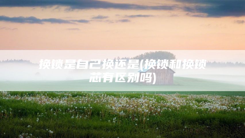 换锁是自己换还是(换锁和换锁芯有区别吗)