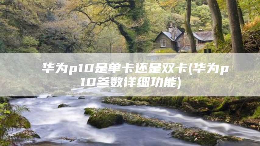 华为p10是单卡还是双卡(华为p10参数详细功能)