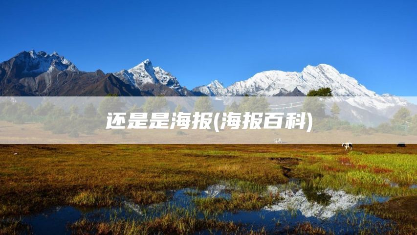 还是是海报(海报百科)
