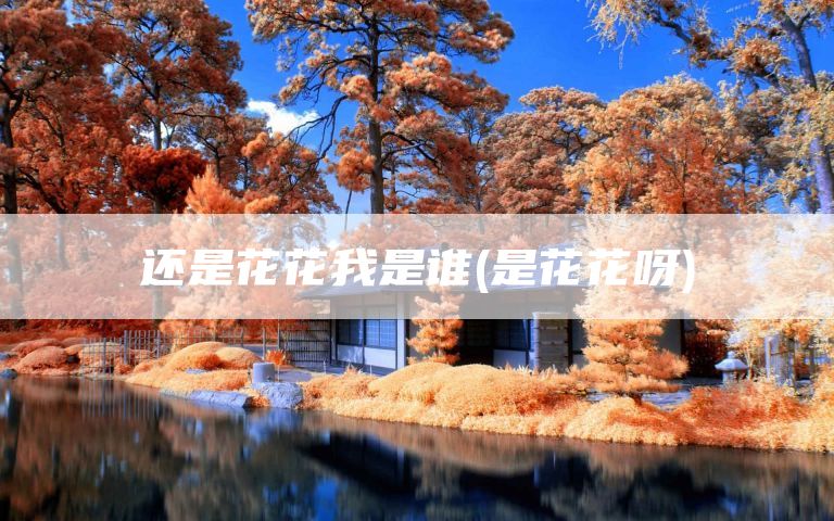 还是花花我是谁(是花花呀)