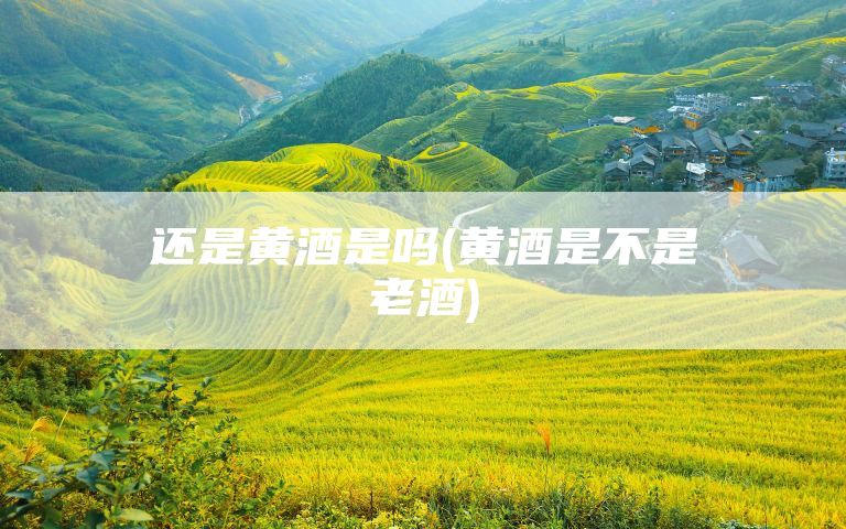 还是黄酒是吗(黄酒是不是老酒)