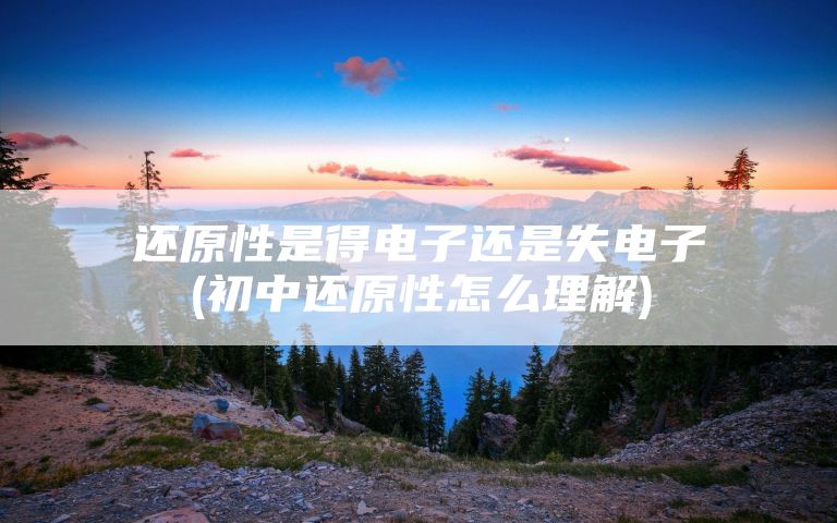 还原性是得电子还是失电子(初中还原性怎么理解)