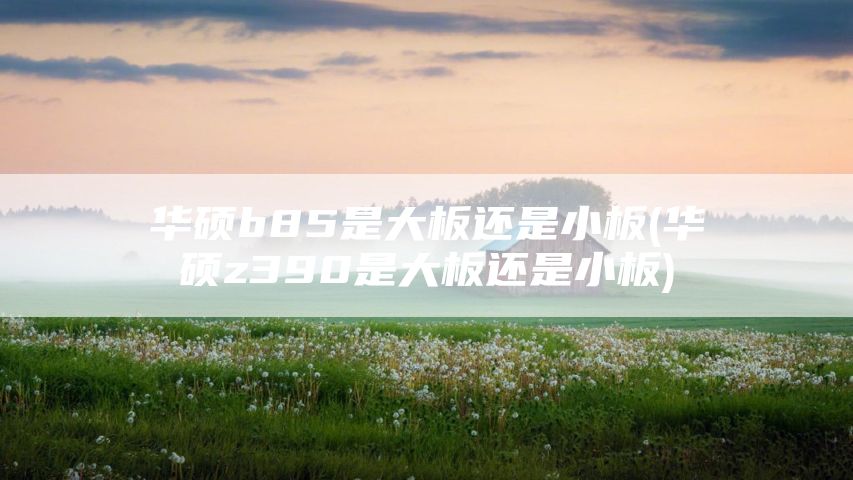华硕b85是大板还是小板(华硕z390是大板还是小板)
