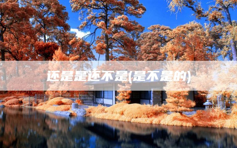 还是是还不是(是不是的)