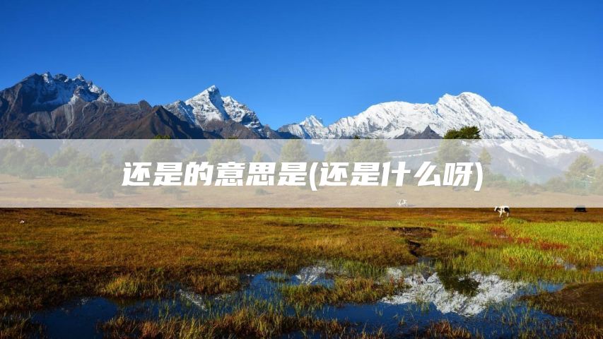 还是的意思是(还是什么呀)