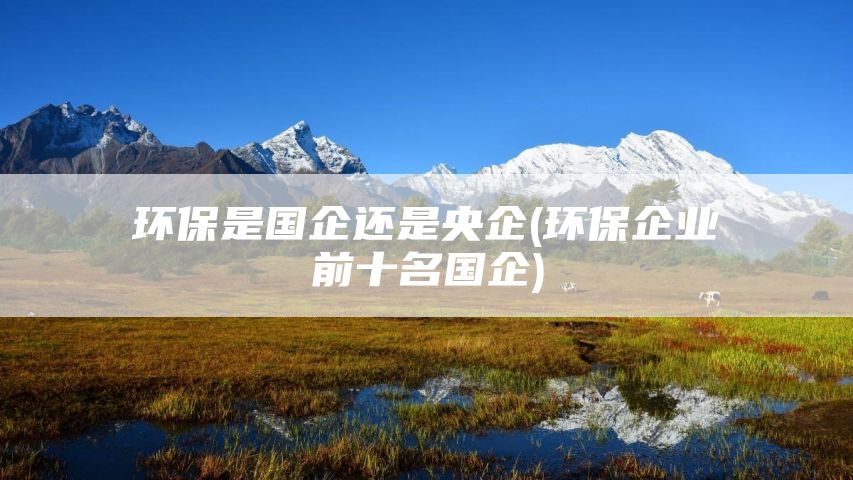 环保是国企还是央企(环保企业前十名国企)