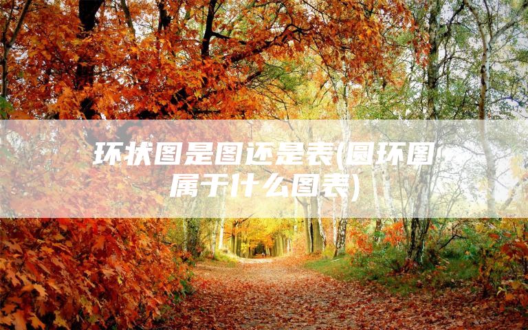 环状图是图还是表(圆环图属于什么图表)