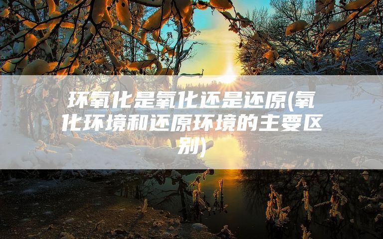 环氧化是氧化还是还原(氧化环境和还原环境的主要区别)