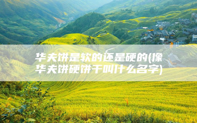 华夫饼是软的还是硬的(像华夫饼硬饼干叫什么名字)