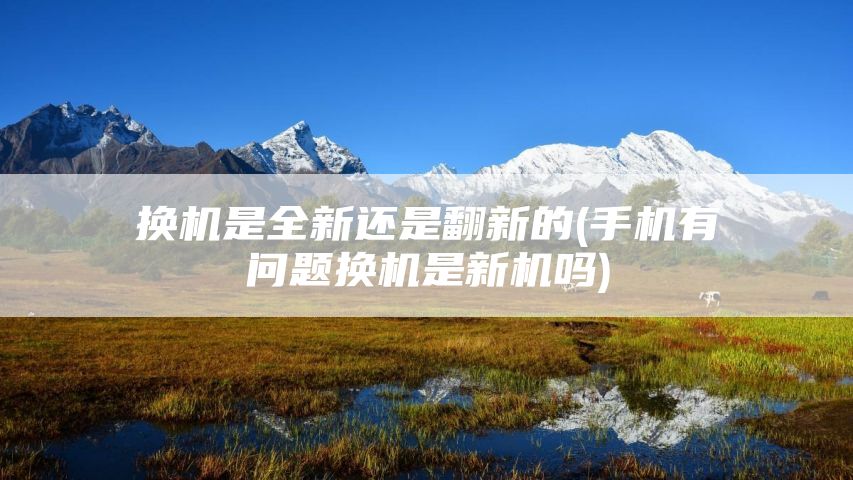 换机是全新还是翻新的(手机有问题换机是新机吗)