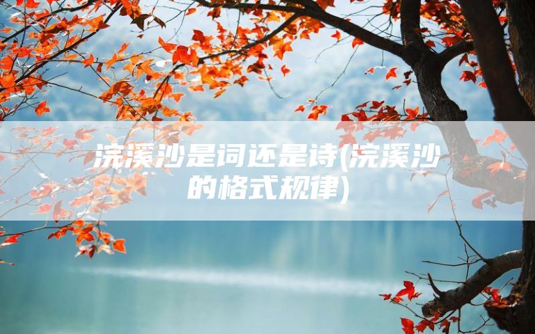 浣溪沙是词还是诗(浣溪沙的格式规律)
