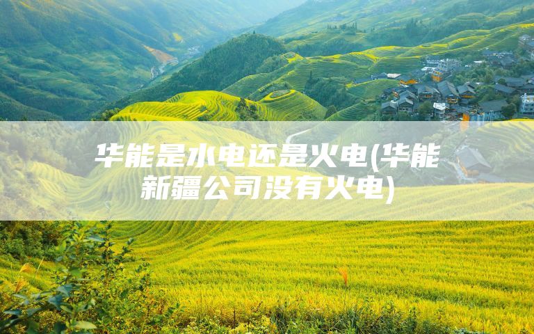 华能是水电还是火电(华能新疆公司没有火电)