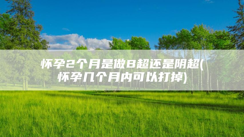 怀孕2个月是做B超还是阴超(怀孕几个月内可以打掉)