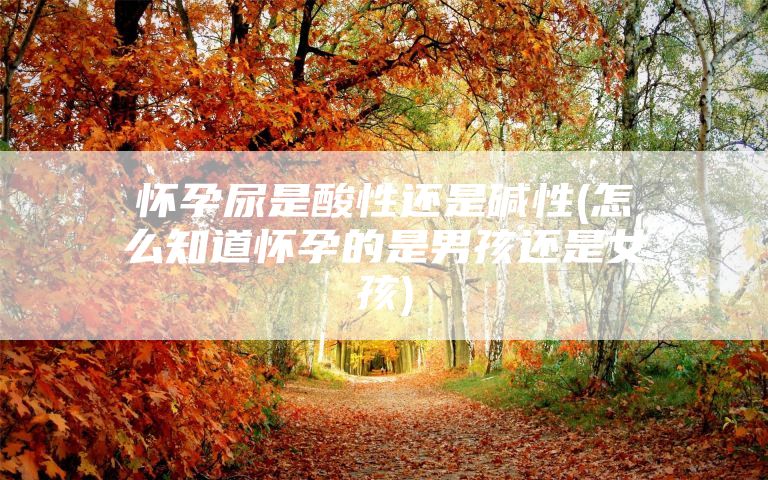 怀孕尿是酸性还是碱性(怎么知道怀孕的是男孩还是女孩)