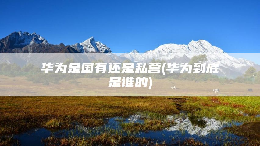 华为是国有还是私营(华为到底是谁的)