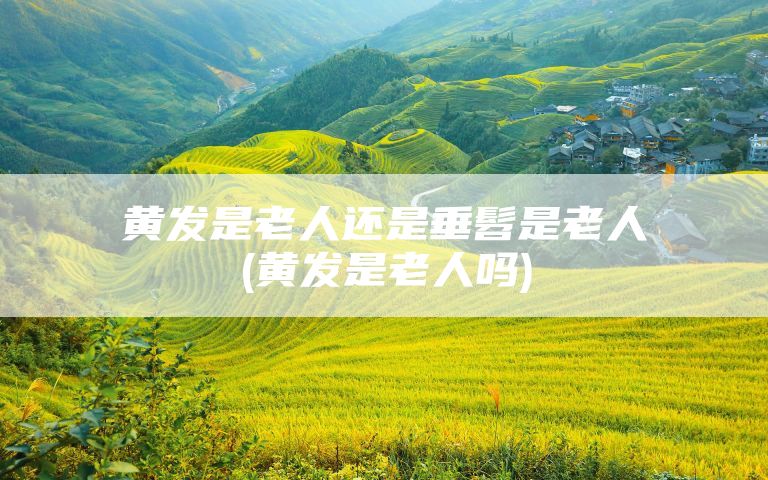 黄发是老人还是垂髫是老人(黄发是老人吗)
