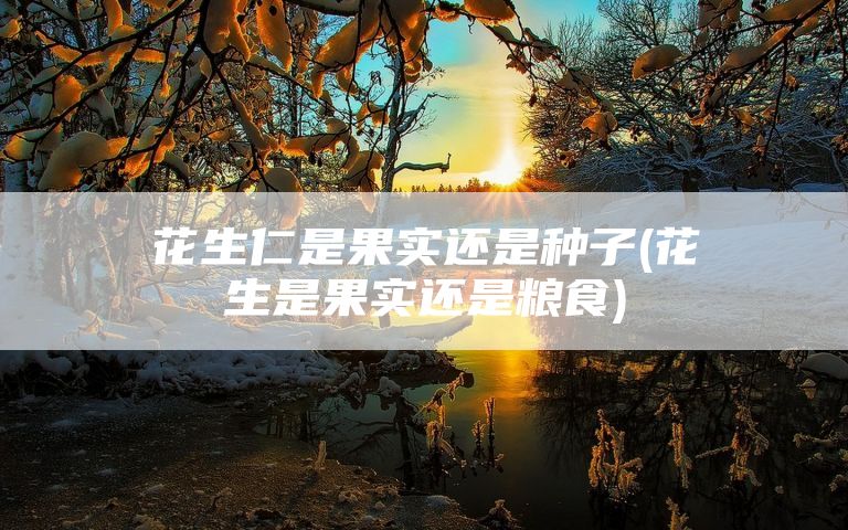 花生仁是果实还是种子(花生是果实还是粮食)