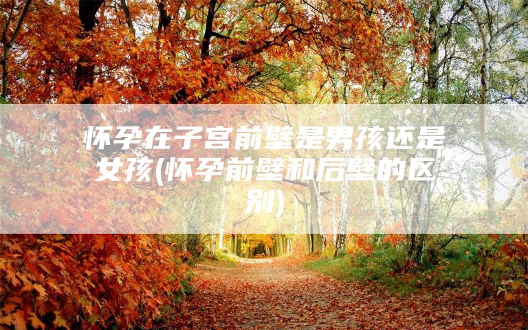 怀孕在子宫前壁是男孩还是女孩(怀孕前壁和后壁的区别)