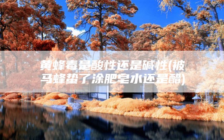 黄蜂毒是酸性还是碱性(被马蜂蛰了涂肥皂水还是醋)