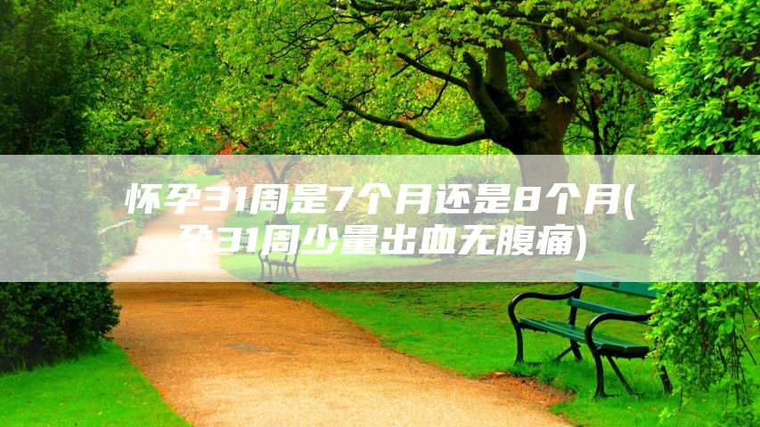 怀孕31周是7个月还是8个月(孕31周少量出血无腹痛)
