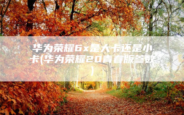 华为荣耀6x是大卡还是小卡(华为荣耀20青春版参数)