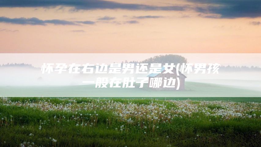 怀孕在右边是男还是女(怀男孩一般在肚子哪边)