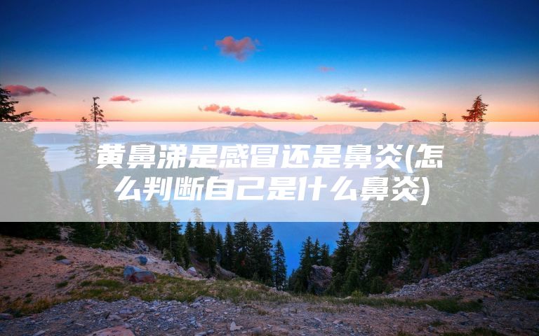 黄鼻涕是感冒还是鼻炎(怎么判断自己是什么鼻炎)