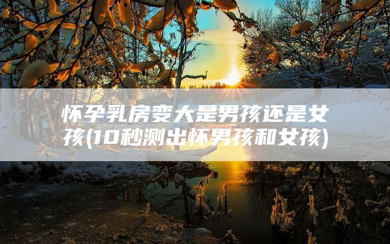 怀孕乳房变大是男孩还是女孩(10秒测出怀男孩和女孩)