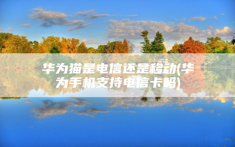 华为猫是电信还是移动(华为手机支持电信卡吗)