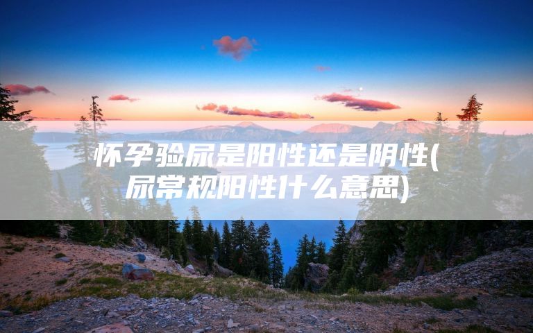 怀孕验尿是阳性还是阴性(尿常规阳性什么意思)