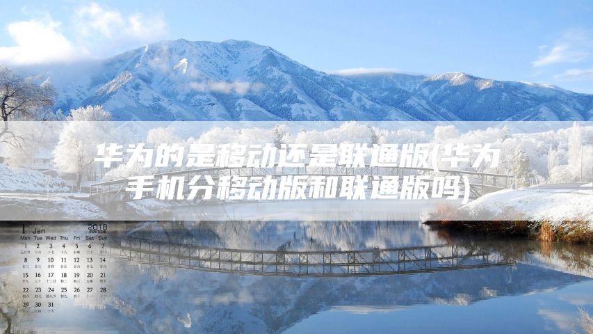 华为的是移动还是联通版(华为手机分移动版和联通版吗)