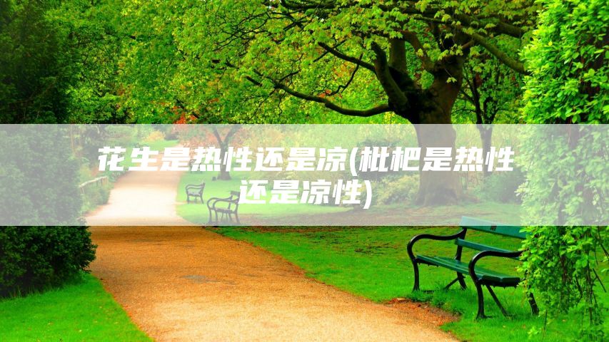 花生是热性还是凉(枇杷是热性还是凉性)