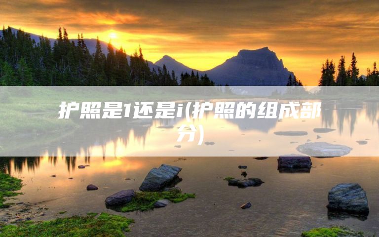 护照是1还是i(护照的组成部分)