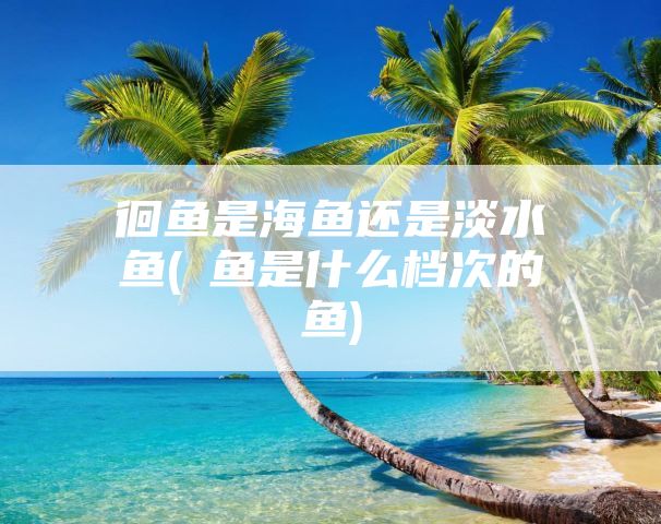 徊鱼是海鱼还是淡水鱼(鮰鱼是什么档次的鱼)