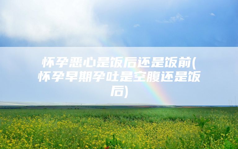 怀孕恶心是饭后还是饭前(怀孕早期孕吐是空腹还是饭后)