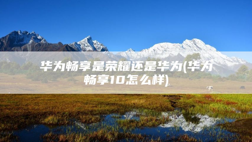 华为畅享是荣耀还是华为(华为畅享10怎么样)