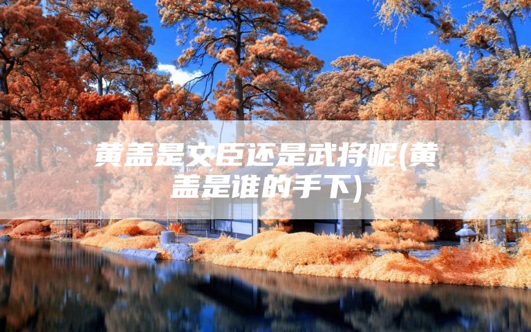 黄盖是文臣还是武将呢(黄盖是谁的手下)