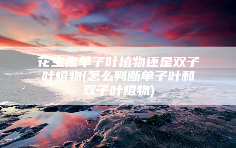 花生是单子叶植物还是双子叶植物(怎么判断单子叶和双子叶植物)