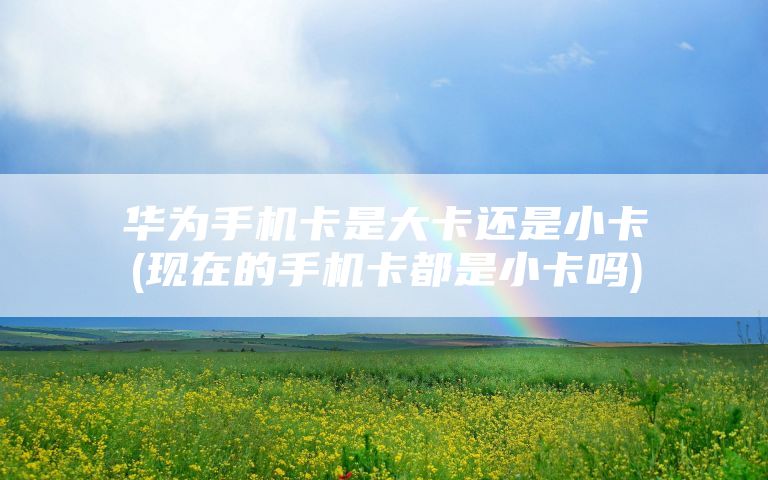 华为手机卡是大卡还是小卡(现在的手机卡都是小卡吗)