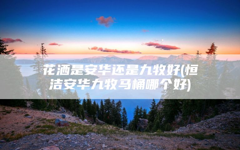花洒是安华还是九牧好(恒洁安华九牧马桶哪个好)