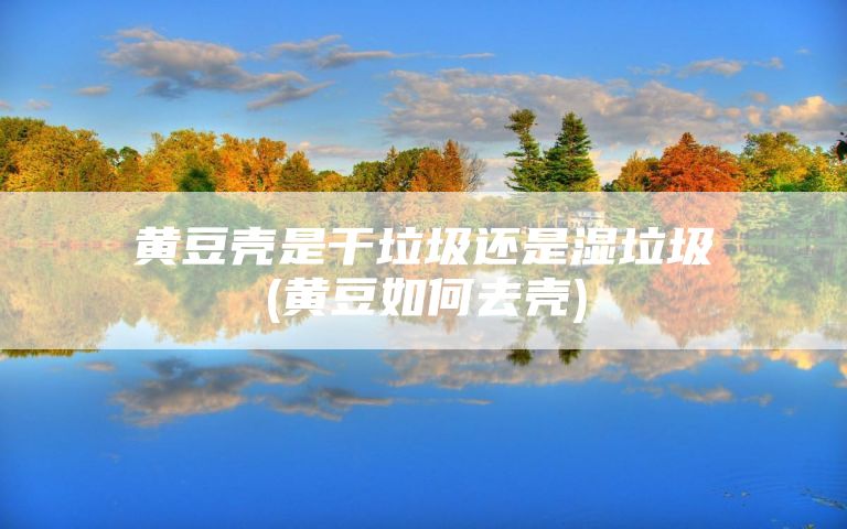 黄豆壳是干垃圾还是湿垃圾(黄豆如何去壳)