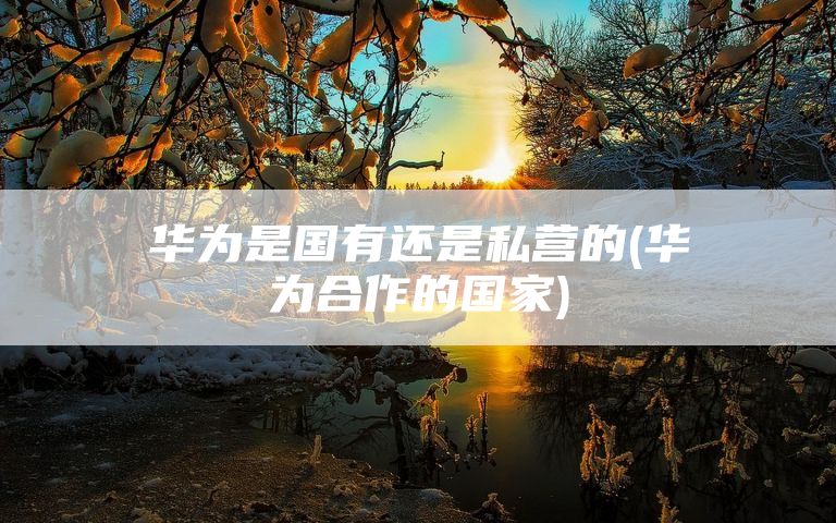 华为是国有还是私营的(华为合作的国家)