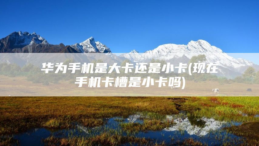 华为手机是大卡还是小卡(现在手机卡槽是小卡吗)