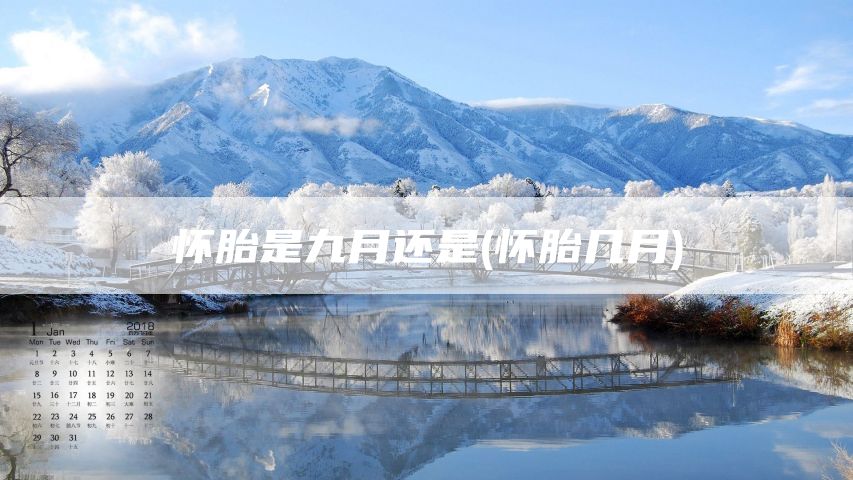怀胎是九月还是(怀胎几月)