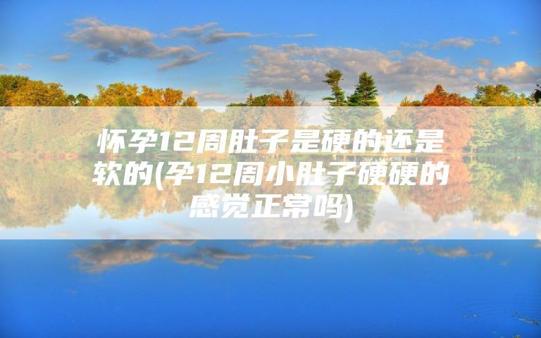 怀孕12周肚子是硬的还是软的(孕12周小肚子硬硬的感觉正常吗)